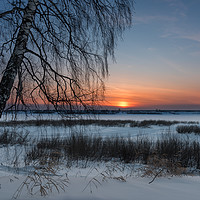 Buy canvas prints of The setting sun on a frosty evening by Dobrydnev Sergei