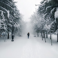 Buy canvas prints of Snow-covered city alley with a lonely passer by Dobrydnev Sergei