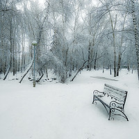 Buy canvas prints of Snow-covered city park with a lonely bench by Dobrydnev Sergei