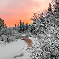 Buy canvas prints of Evening sky over a frozen forest river by Dobrydnev Sergei