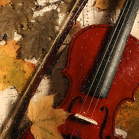 Buy canvas prints of 4 seasons. Autumn. by Elena Degano