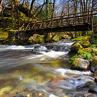 Buy canvas prints of The River Walkham                                  by Sean Clee