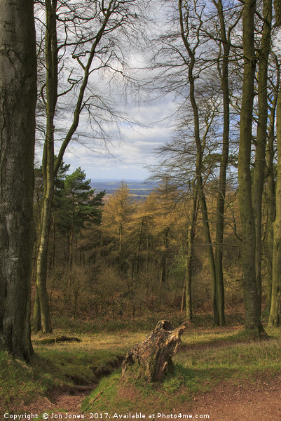 View from the Clent Hills Picture Board by Jon Jones