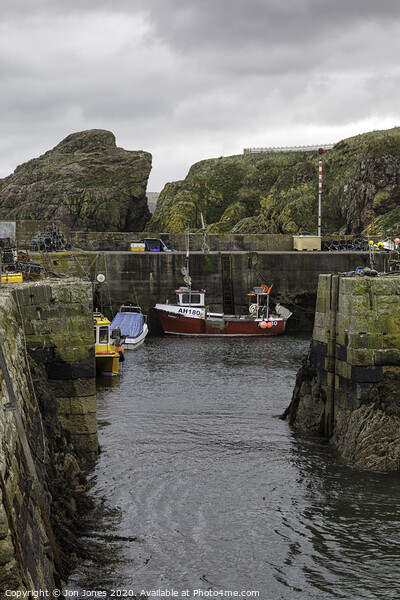 St Abbs in the Scottish borders  Picture Board by Jon Jones