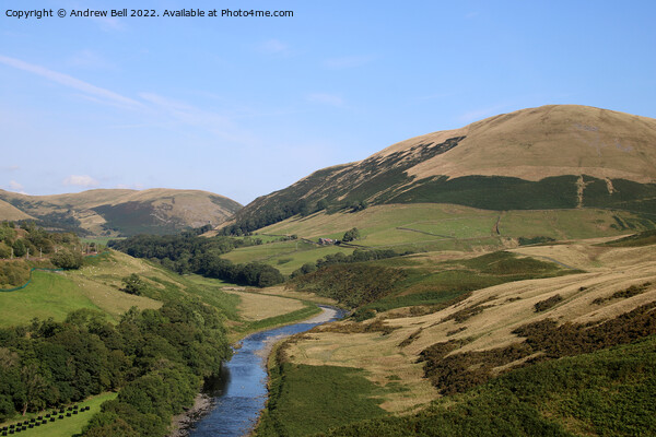 Lune Gorge in Cumbria Picture Board by Andrew Bell