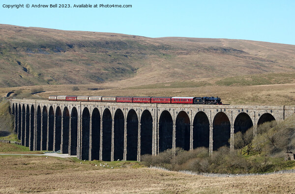 Steam Train Ribblehead Viaduct Picture Board by Andrew Bell