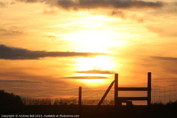 A Golden Gateway to Nature's Paradise Picture Board by Andrew Bell