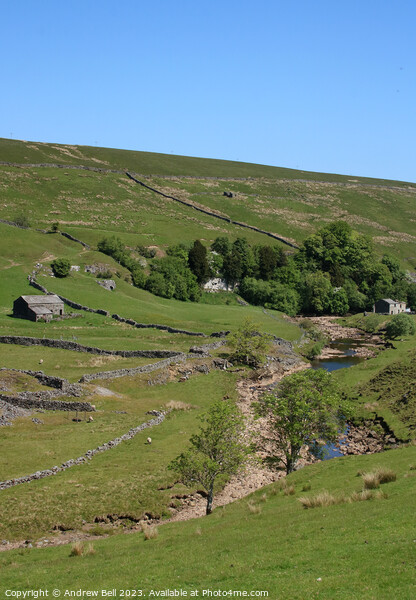Serene landscapes of Upper Swaledale Picture Board by Andrew Bell