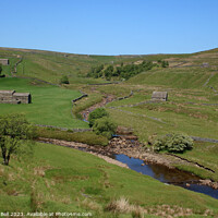 Buy canvas prints of Serene Swaledale by Andrew Bell