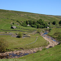 Buy canvas prints of Verdant Swaledale by Andrew Bell