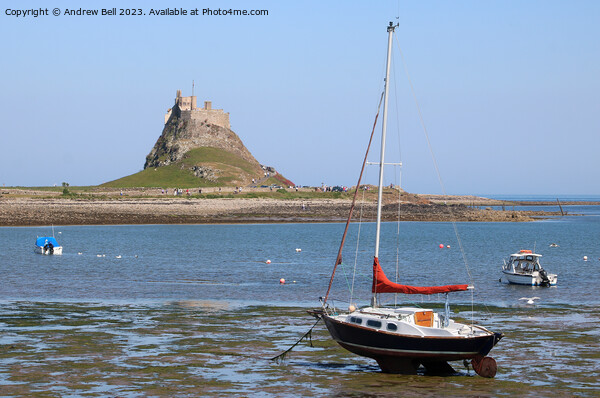 Lindisfarne Castle, Holy Island Picture Board by Andrew Bell