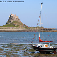 Buy canvas prints of Lindisfarne Castle, Holy Island by Andrew Bell