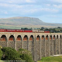 Buy canvas prints of British India Line Ribblehead by Andrew Bell