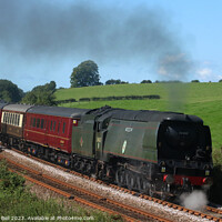 Buy canvas prints of Steam train Tangmere by Andrew Bell