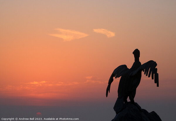 Cormorant Sculpture at Sunset Picture Board by Andrew Bell