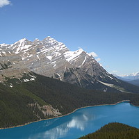 Buy canvas prints of Peyto Lake, Banff National Park, Canada by Stephen Carvell