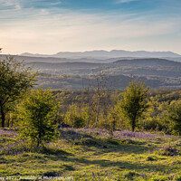 Buy canvas prints of Bluebells and the Lake District from Warton Crag by Liz Withey