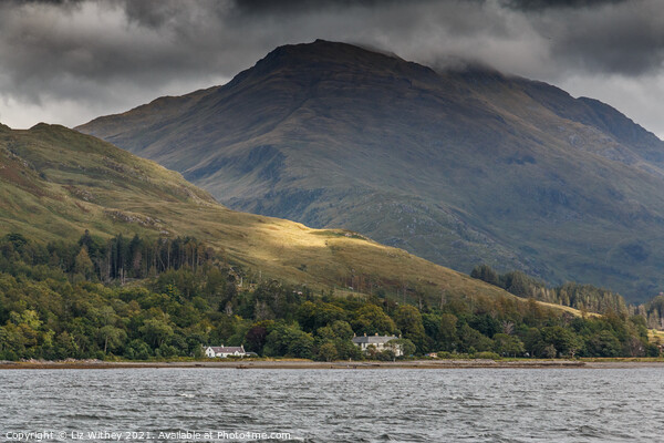 Knoydart Picture Board by Liz Withey