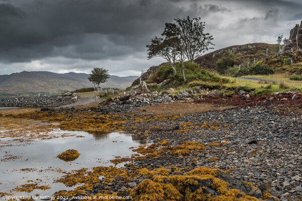 Loch nan Ceall, Arasaig Picture Board by Liz Withey