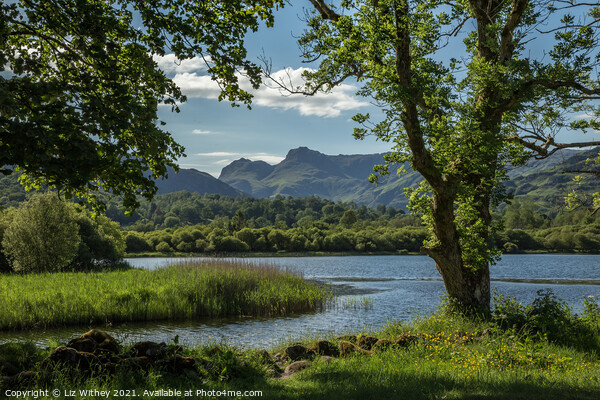 Elterwater and the Langdale Pikes Picture Board by Liz Withey