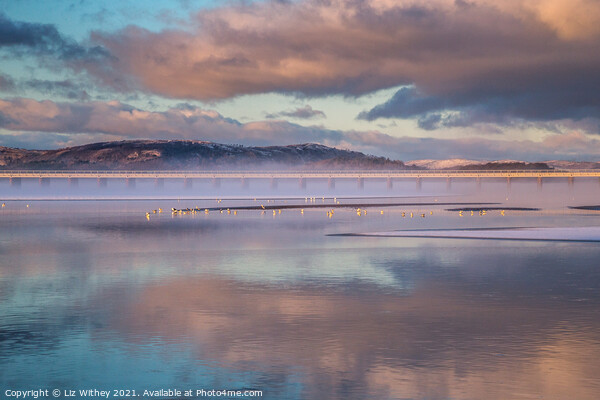 Misty Evening, Kent Viaduct, Arnside Picture Board by Liz Withey