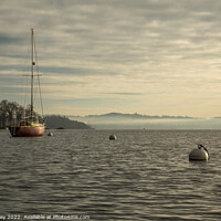 Buy canvas prints of Misty Afternoon, Windermere by Liz Withey