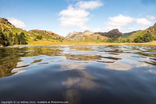 Swimmer's View, Blea Tarn Picture Board by Liz Withey