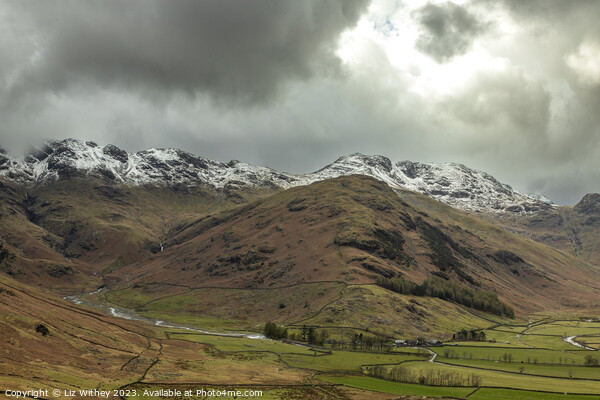 Winter in Great Langdale Picture Board by Liz Withey