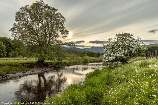 River Brathay and Langdale Pikes Picture Board by Liz Withey