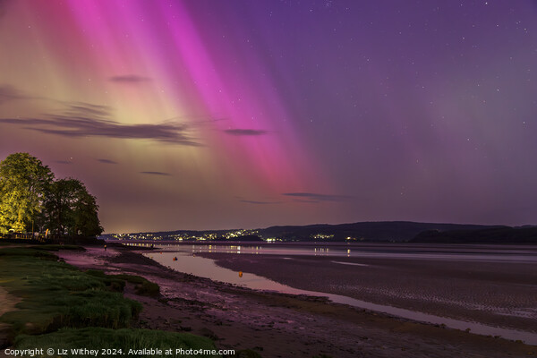 Northern Lights, Arnside Picture Board by Liz Withey