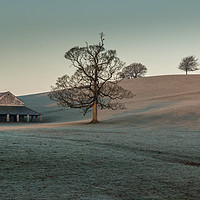 Buy canvas prints of Deer Shelter, Milnthorpe, Cumbria by Liz Withey