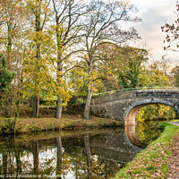 Buy canvas prints of Lancaster Canal, Carnforth by Liz Withey