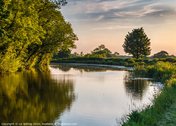 Summer Evening, Lancaster Canal Capernwray Picture Board by Liz Withey