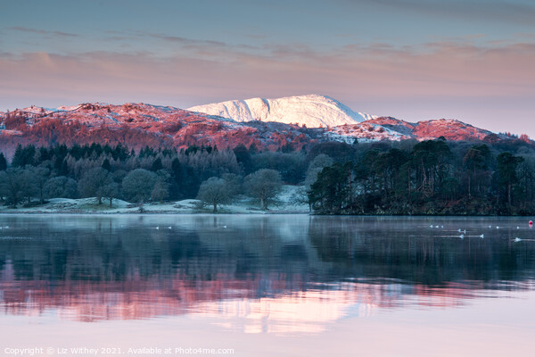 Morning, Windermere Picture Board by Liz Withey