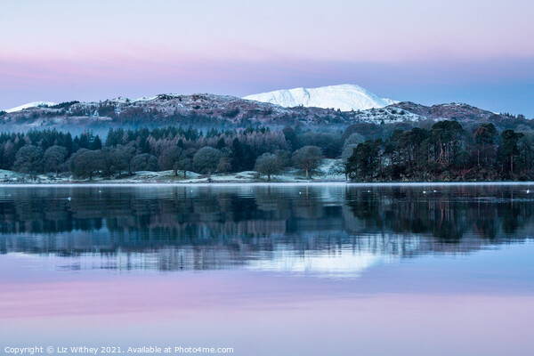 Pink Dawn, Waterhead, Windermere Picture Board by Liz Withey