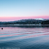 Buy canvas prints of Pink Ripples, Windermere by Liz Withey