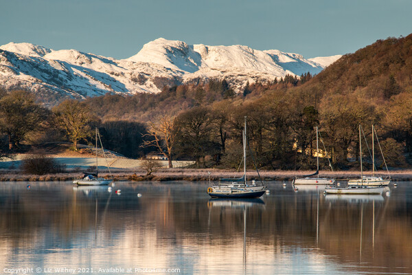 Morning, Waterhead, Windermere Picture Board by Liz Withey