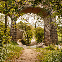 Buy canvas prints of Capernwray Viaduct by Liz Withey