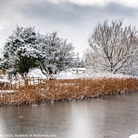 Buy canvas prints of Lancaster Canal, Carnforth by Liz Withey