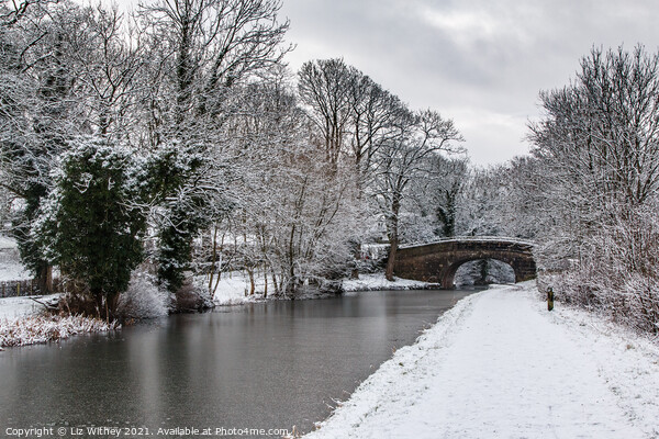 Lancaster Canal in Winter Picture Board by Liz Withey