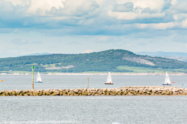 Sailing, Morecambe Bay Picture Board by Liz Withey