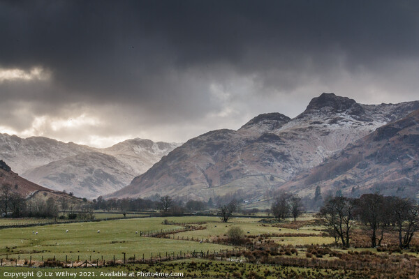 Langdale Pikes Picture Board by Liz Withey