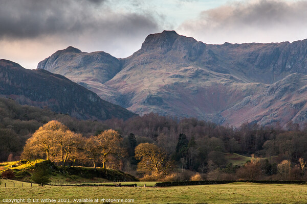 Langdale Picture Board by Liz Withey