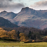 Buy canvas prints of Langdale by Liz Withey