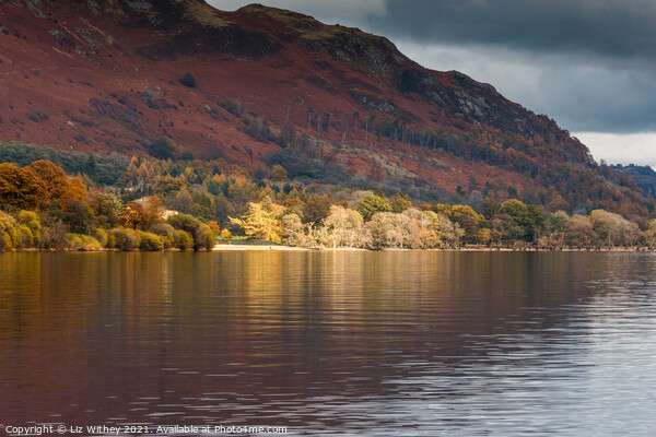 Ullswater, Autumn Picture Board by Liz Withey