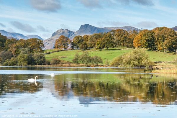 Langdale Pikes and Loughrigg Picture Board by Liz Withey