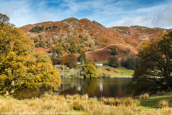 Loughrigg Fell and Tarn Picture Board by Liz Withey