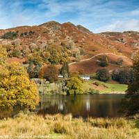 Buy canvas prints of Loughrigg Fell and Tarn by Liz Withey
