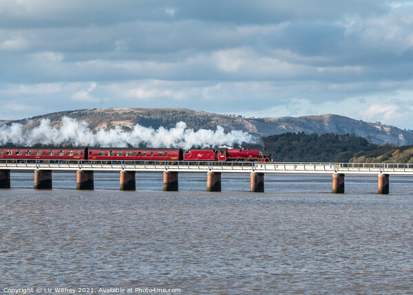 45699 Galatea, Arnside Viaduct Picture Board by Liz Withey