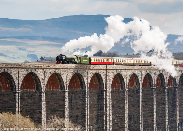 60163 Tornado Ribblehead Viaduct Picture Board by Liz Withey